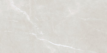 PISO PORCELANICO 60X120 VITTORIO PP631